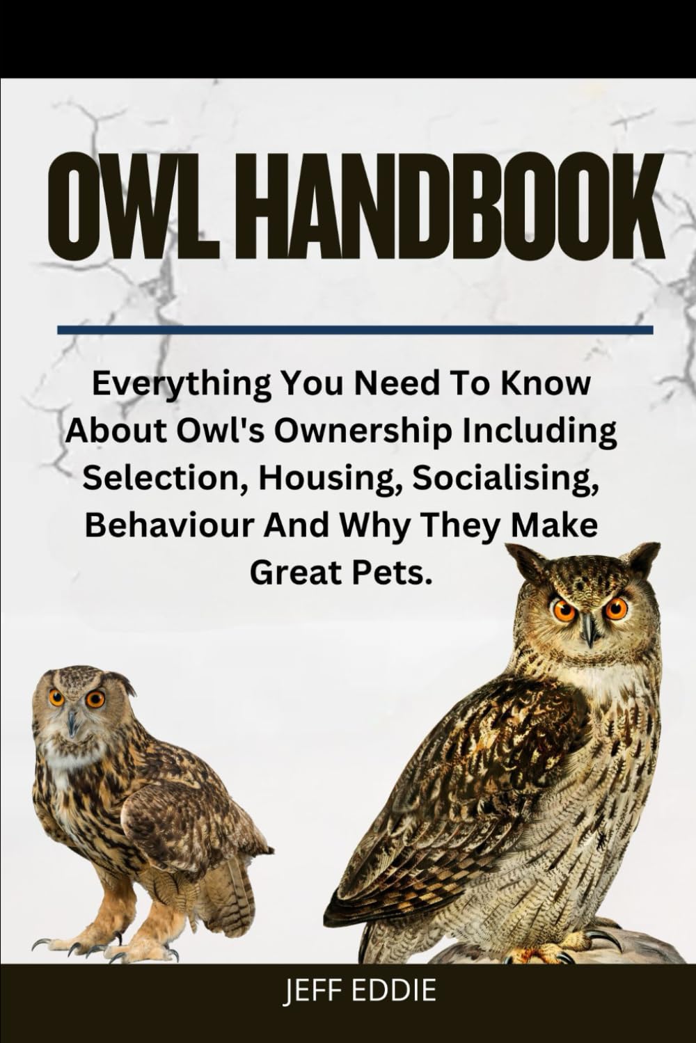 OWL HANDBOOK: Everything You Need To Know About Owl's Ownership Including Selection, Housing, Socialising, Behaviour And Why They Make Great Pets.