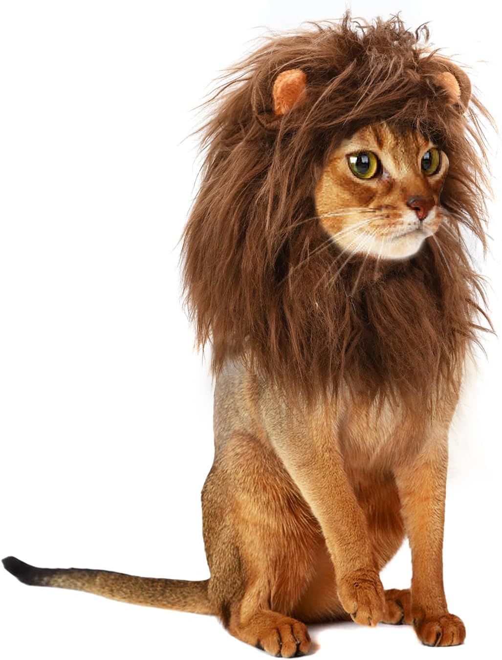 Onmygogo Lion Mane Wig for Cats and Dogs, Funny Pet Cat Costumes for Halloween Christmas, Furry Pet Clothing Accessories
