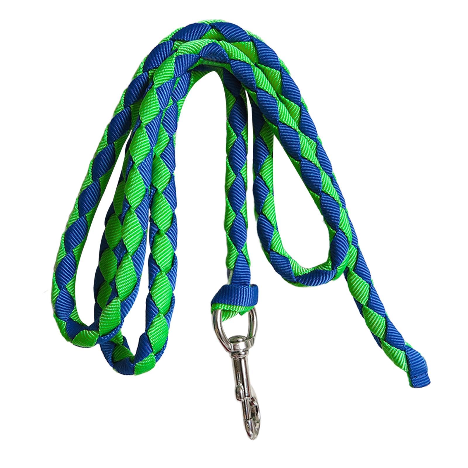 Corda per Cavallo con Attacco a Clip Sicuro, 2.5 m Verde e Blu