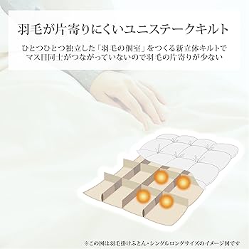 大阪西川 ホワイトダウンキルト 羽毛布団×掛け布団カバーセット 西川 羽毛布団 ホワイトダックダウン93％ | じぶんまくら公式