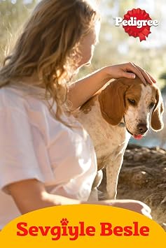 Pedigree Köpekler İçin Jumbone Sığır Etli Ödül Maması 160 G