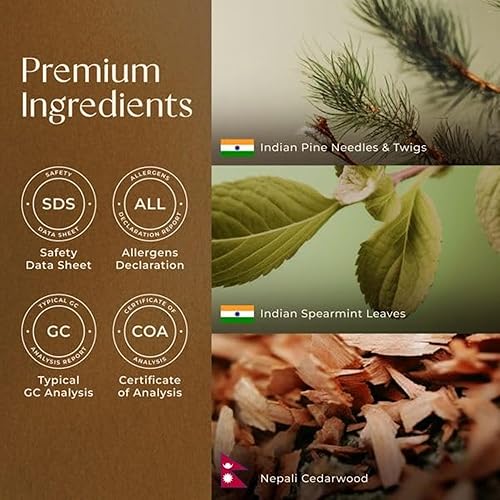 Miniatura 6 de Gya Labs Mezcla de aceites esenciales de árbol de Navidad para difusor, aceites esenciales de Navidad para aromaterapia, vacaciones y bricolaje,