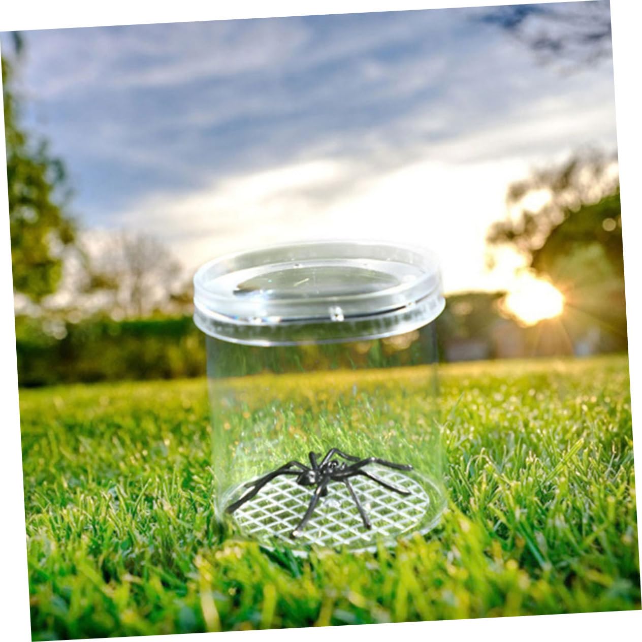 Lot de 8 Boîtes Loupe pour Insectes Garçon et Filles Petit Format Observation Précise Extérieur Apprentissage Scientifique Exploration Naturelle
