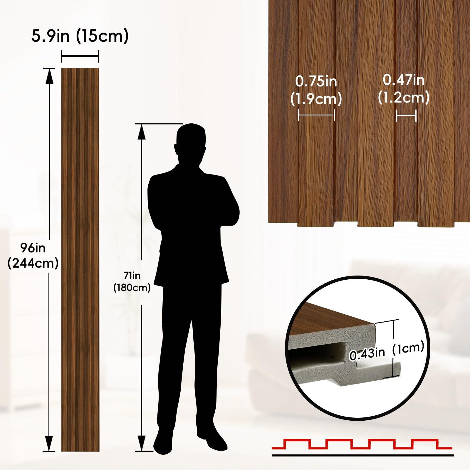 https://m.media-amazon.com/images/I/71jksEE2cfL.jpg