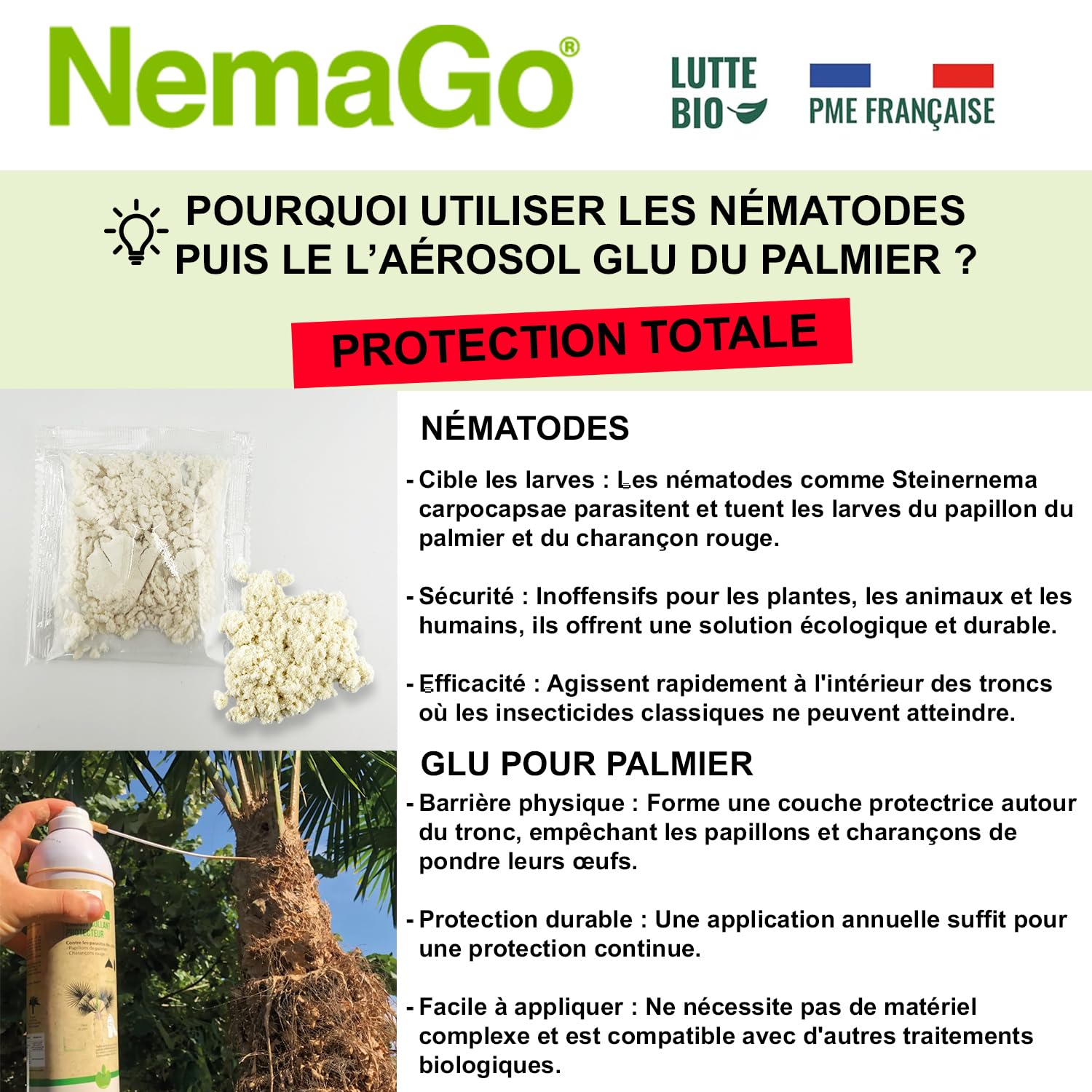 Nématodes Traitement contre le Papillon du Palmier et le Charançon Rouge - Traiter 1 à 3 Palmiers - Anti vers et larves (+ glu palmier) (+ Bombe Aérosol traitement Palmier)
