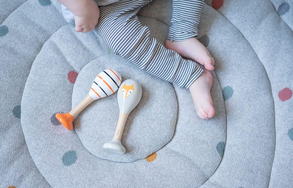 Fox and Stripes
