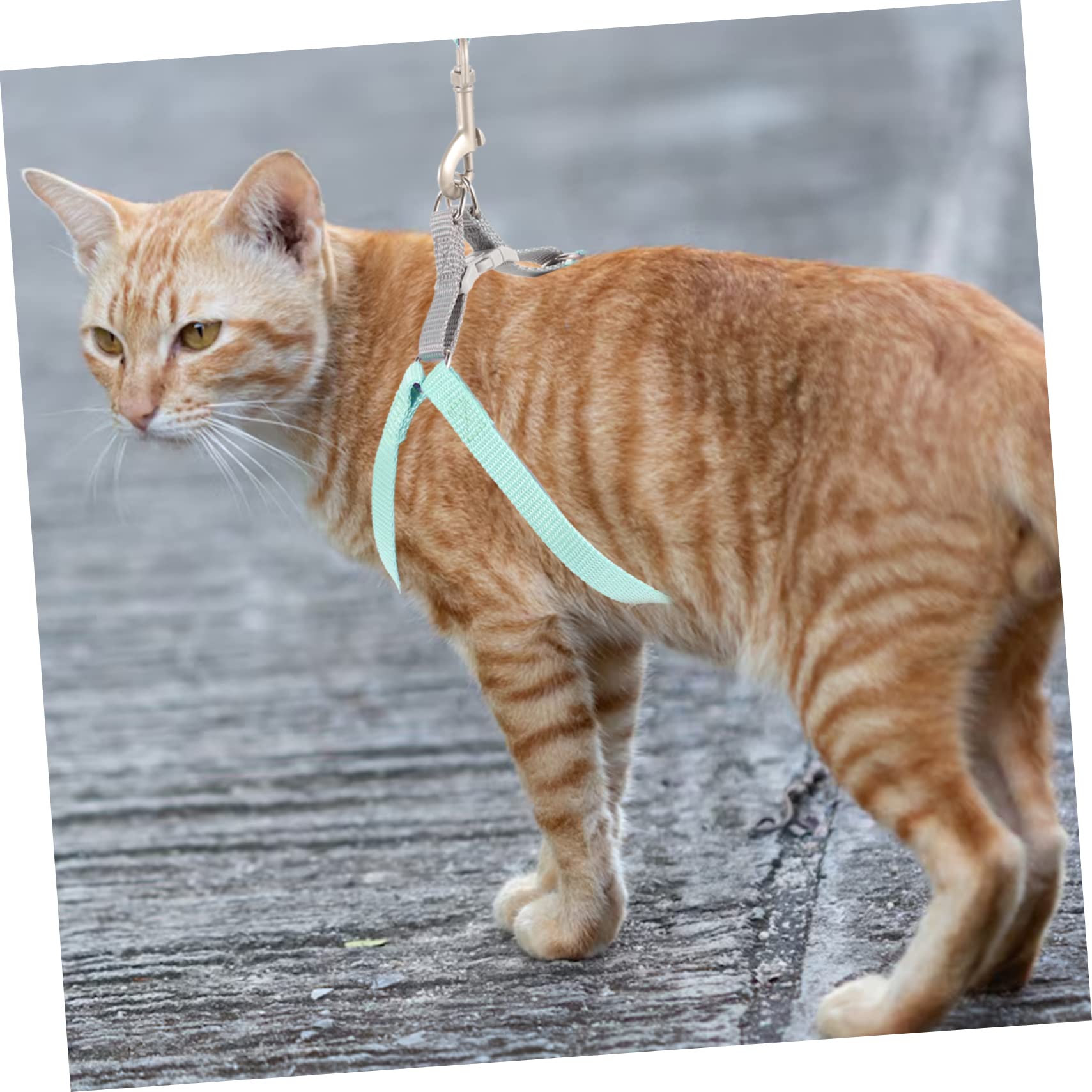 Levemolo Kitten Harness and Leash Escape Cat Harness Set Long Leash for Easy Walking Safe Pet Outdoor Adventure