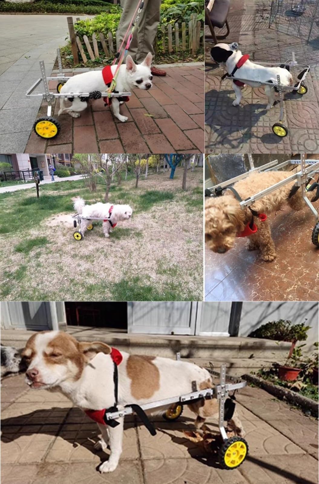 FUELIX Carrellino per Cani Disabili Piedi/Gambe Posteriori Riabilitazione, Carrello per Cani in Sedia A Rotelle Carrello Cani Disabili per Cani Wheel Sedie Pedica delle Gambe Posteriori S