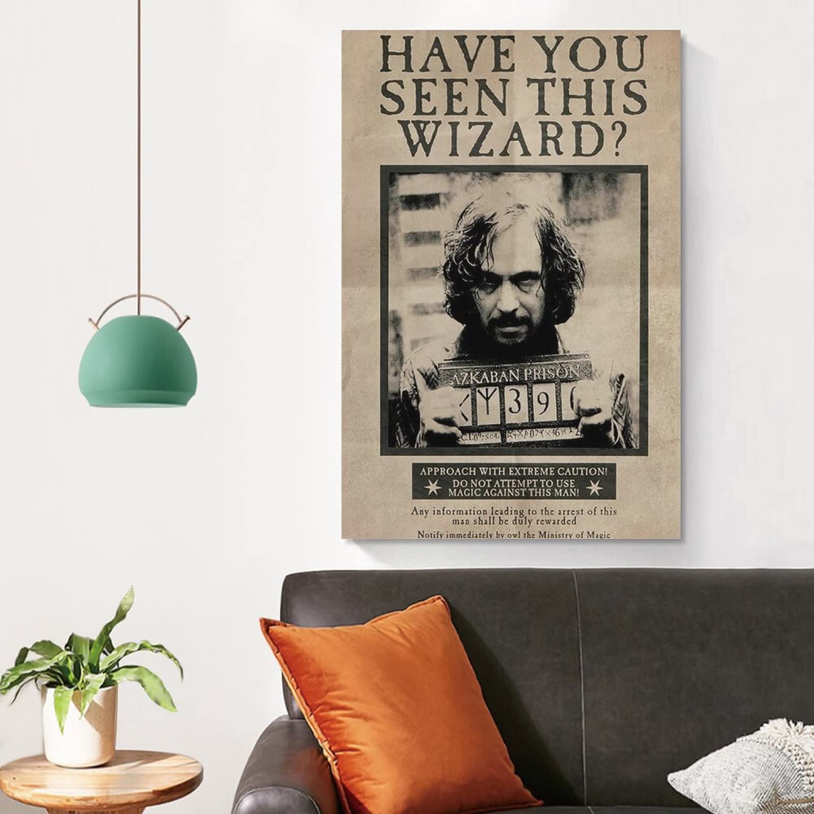 Amazon.co.jp: Harry Potter映画「ハリー・ポッター」シリウス