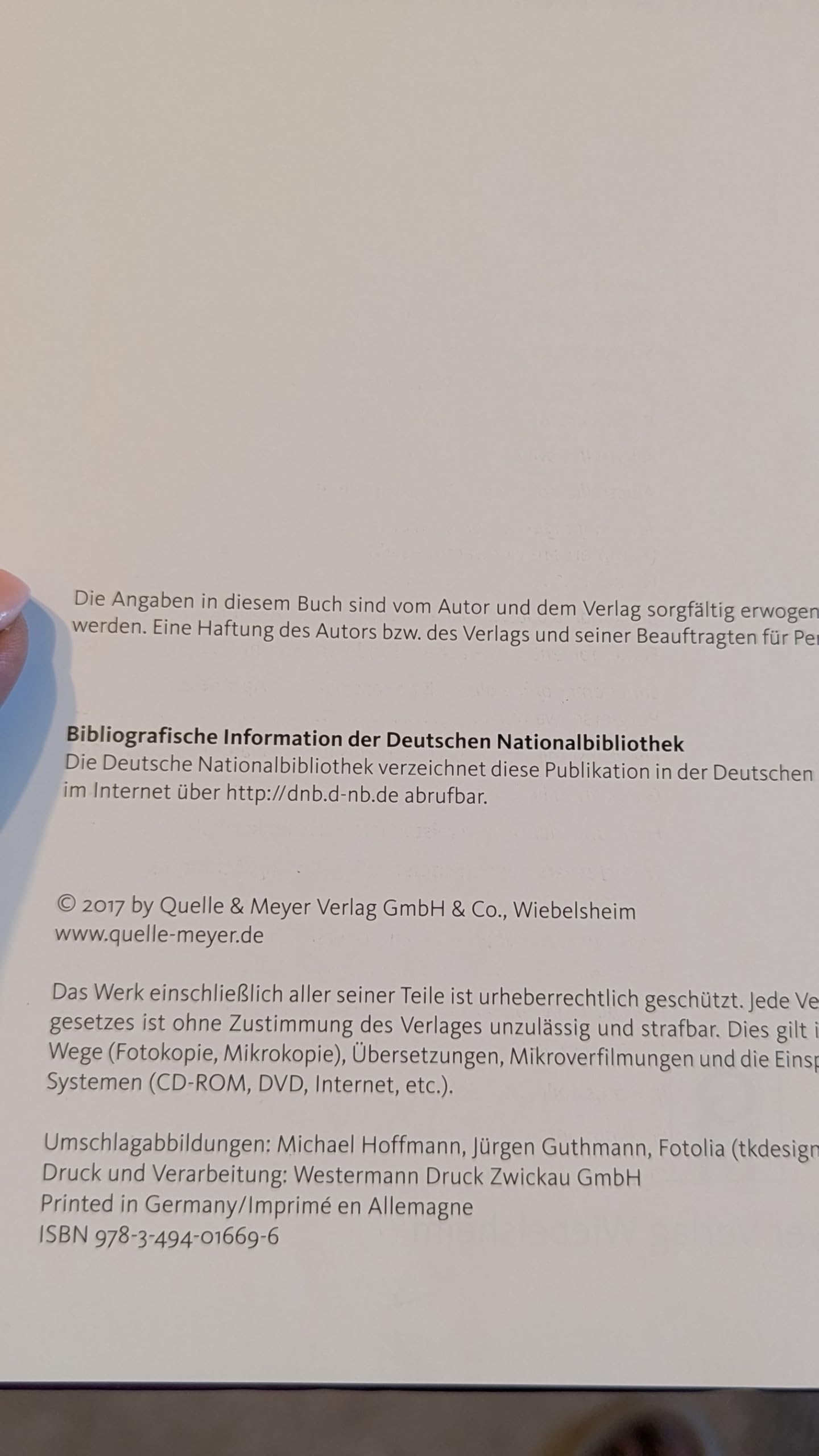 Heilende Pilze: Die wichtigsten Arten der Welt im Porträt