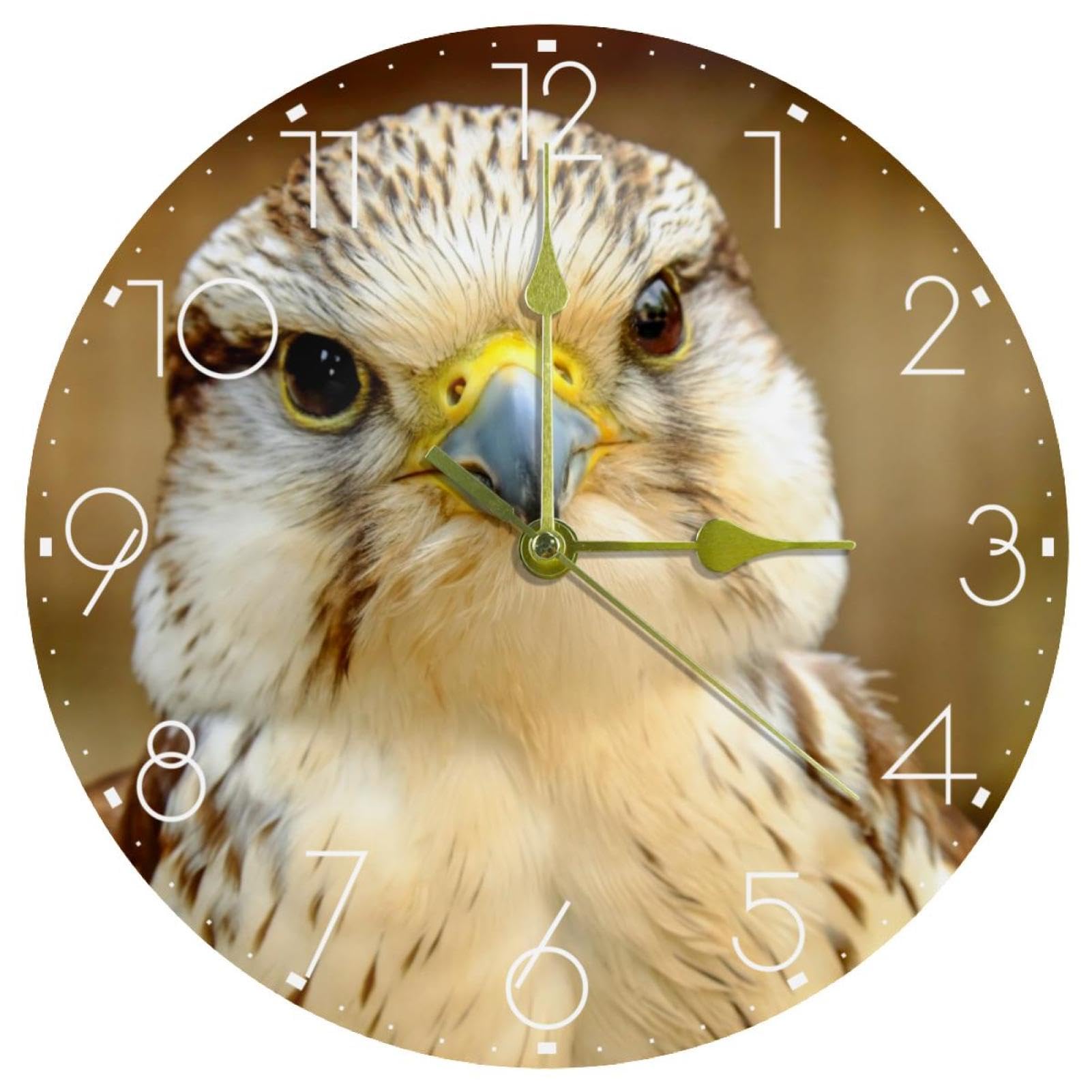 Horloge murale silencieuse Gyrfalcon en acrylique de 25,4 cm