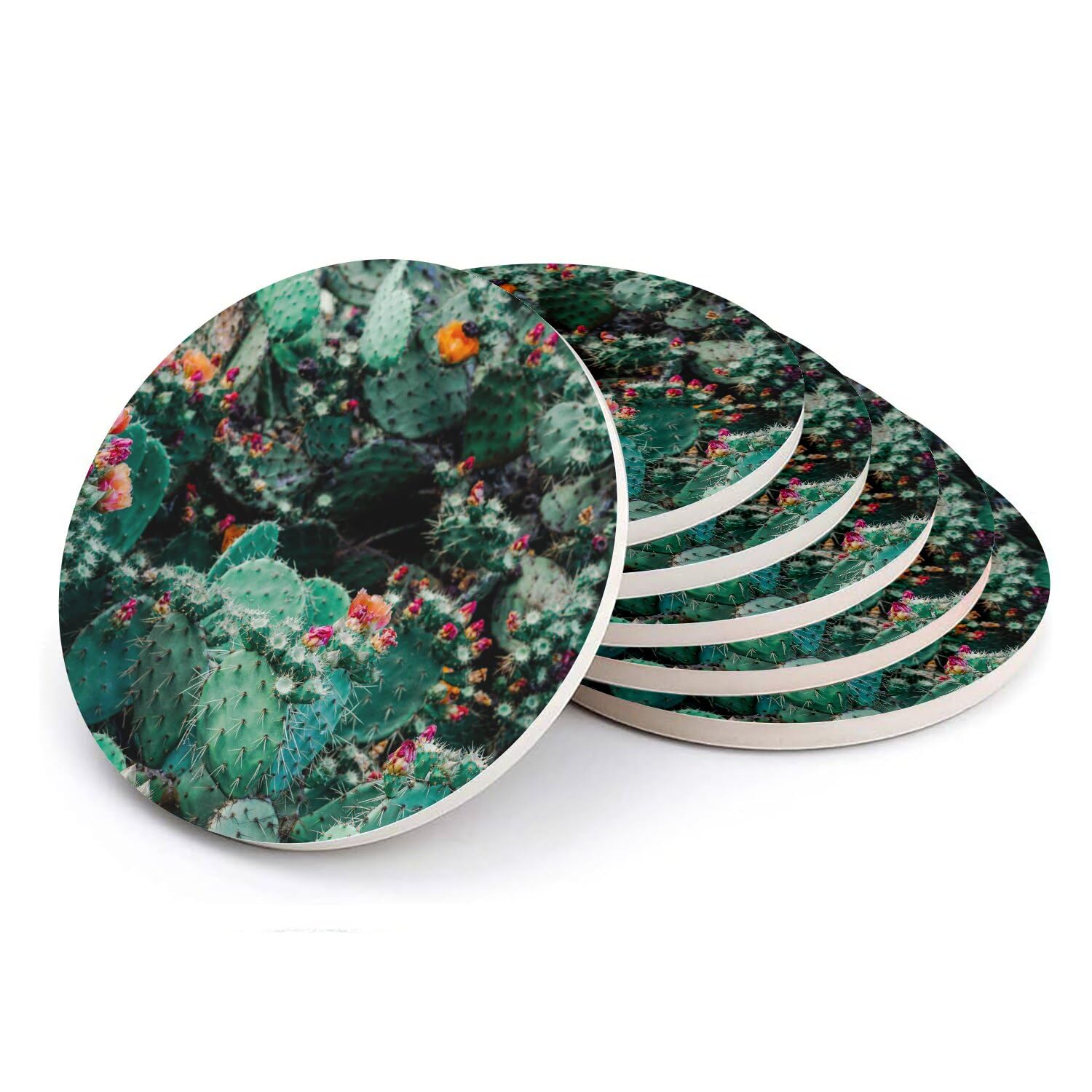 Sous-verre ronds en céramique Opuntia en fleur lot de 6 dessous de verre cactus 108mm