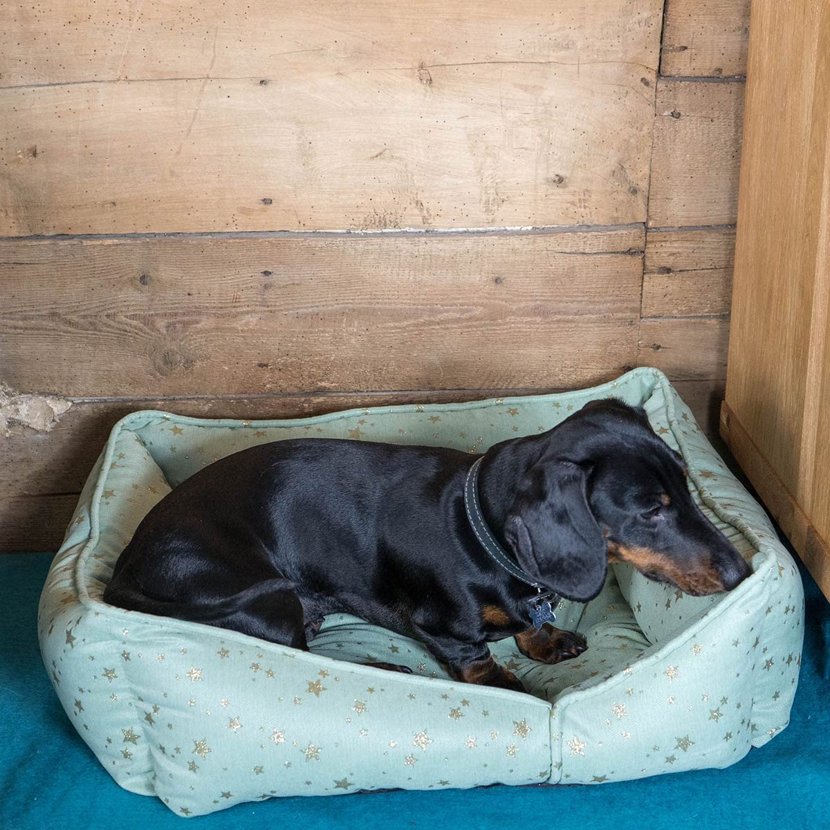 Pet Brands Dream Paws Star Schlafsofa Für Hunde – Klein, Marineblau Mit Goldenem Sternmuster | Stilvolles Hundebett