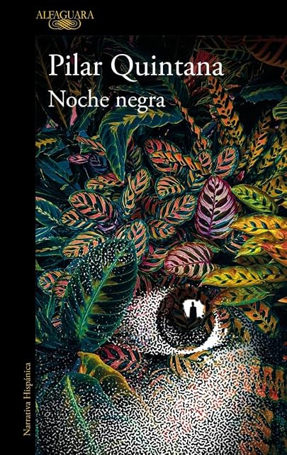 Portada de Noche negra