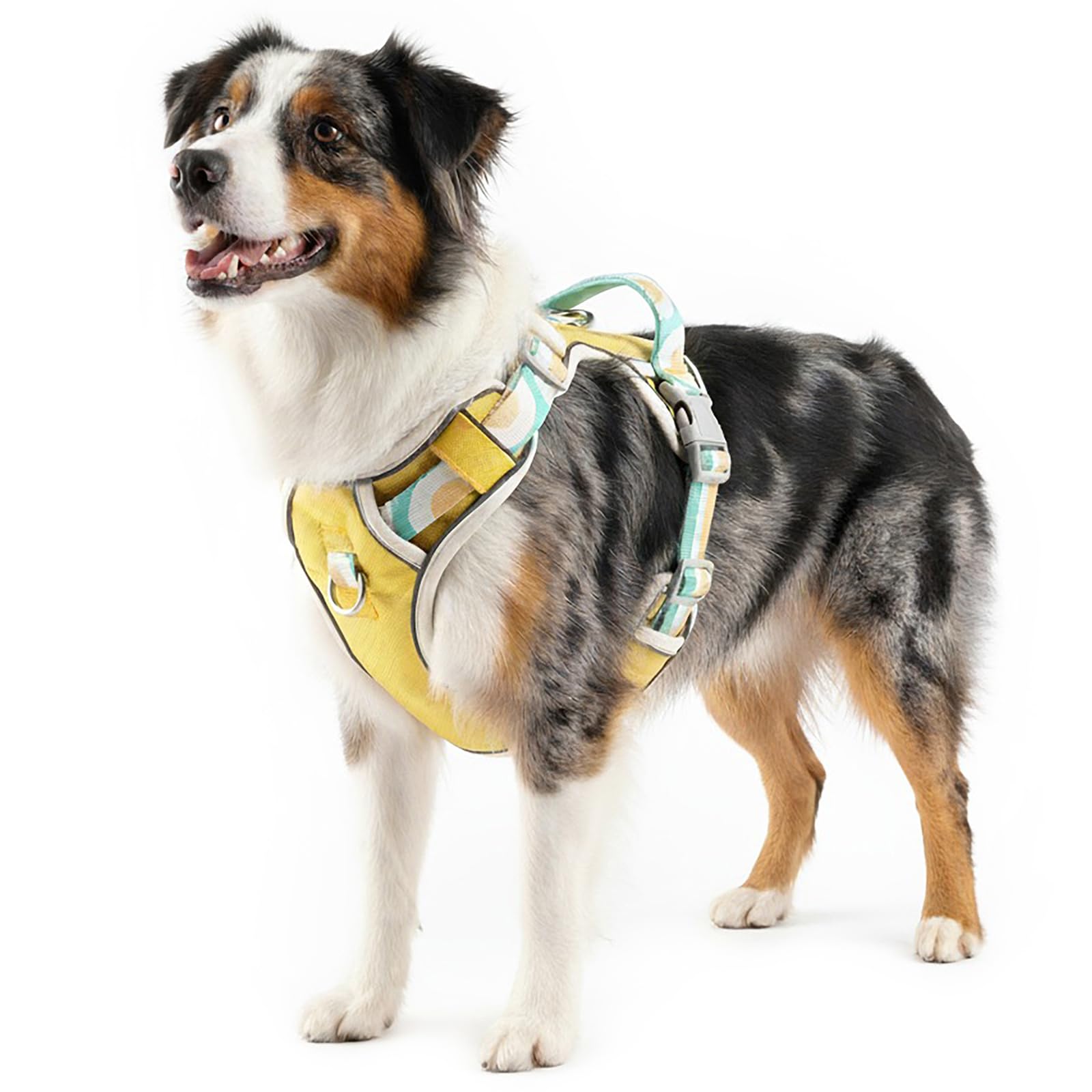 pangdi No-Pull Dog Harness with Back Clip | Escape-Proof Reflective Padded Vest | Adjustable Soft Mesh for Large, Medium, Small Dogs | for Walking,