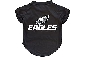 Embroidered Saint Francis of Assisi Pet Prayer Box