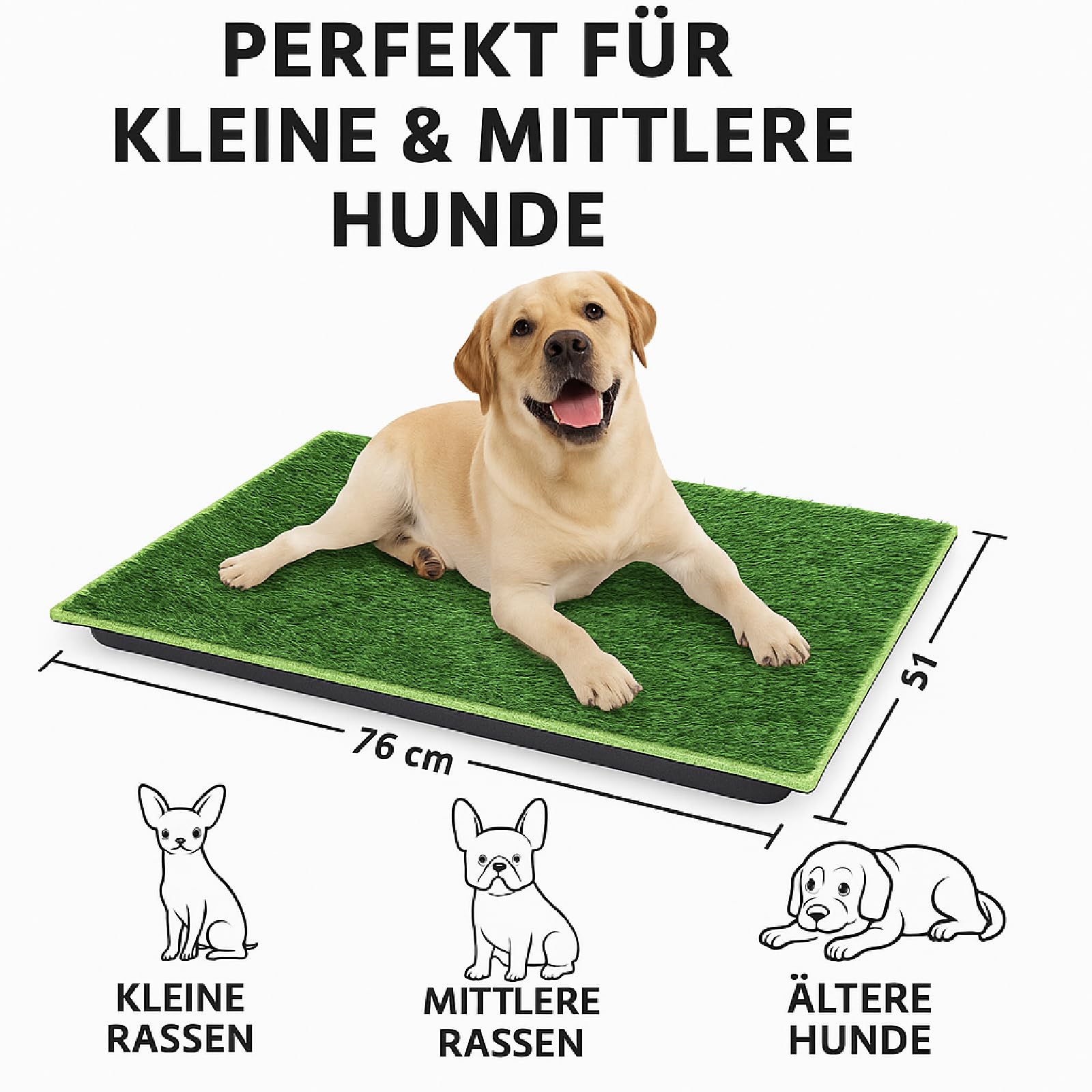 Inodoro para perros