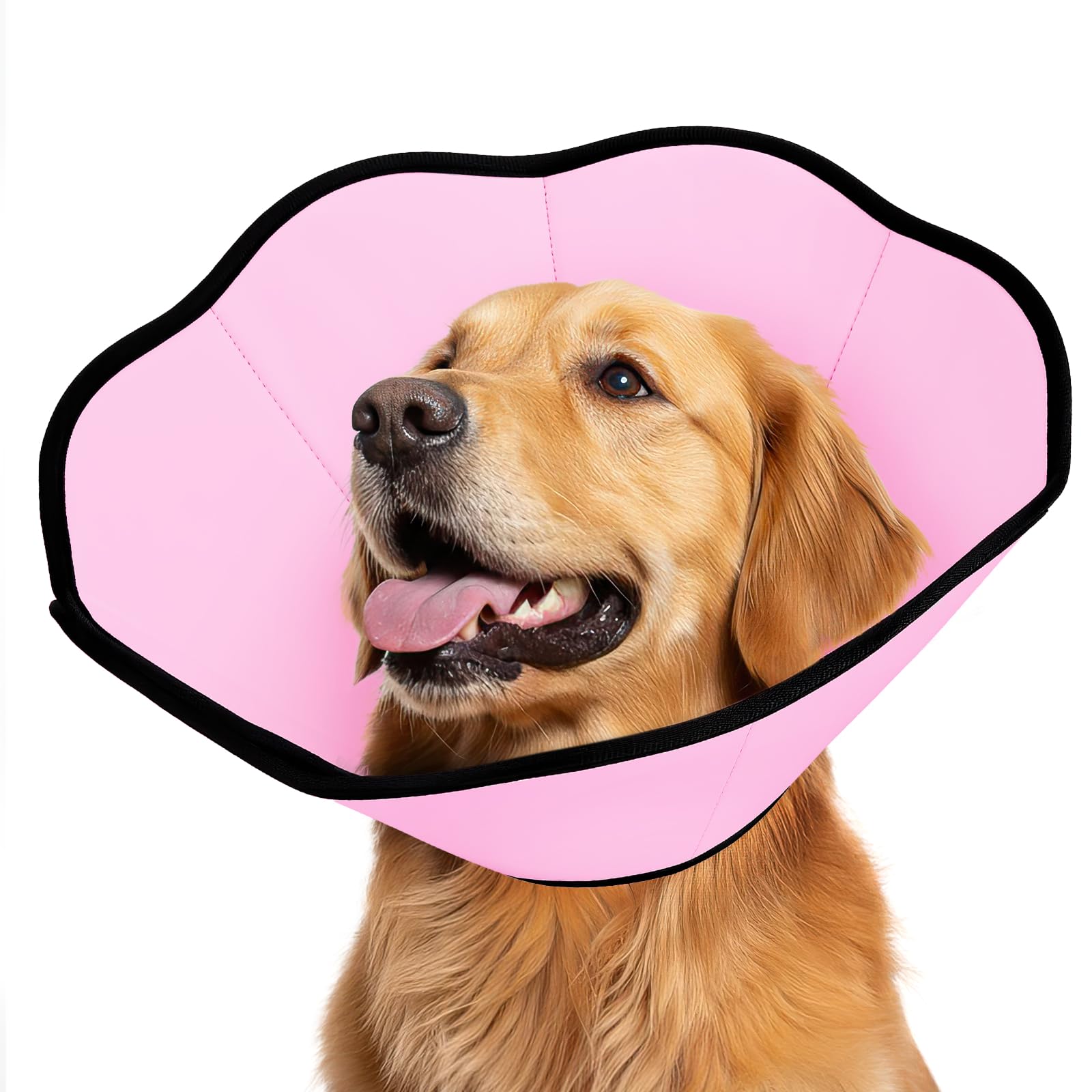 Photo 1 of MIDOG Soft Recovery Cone Collar for Dogs