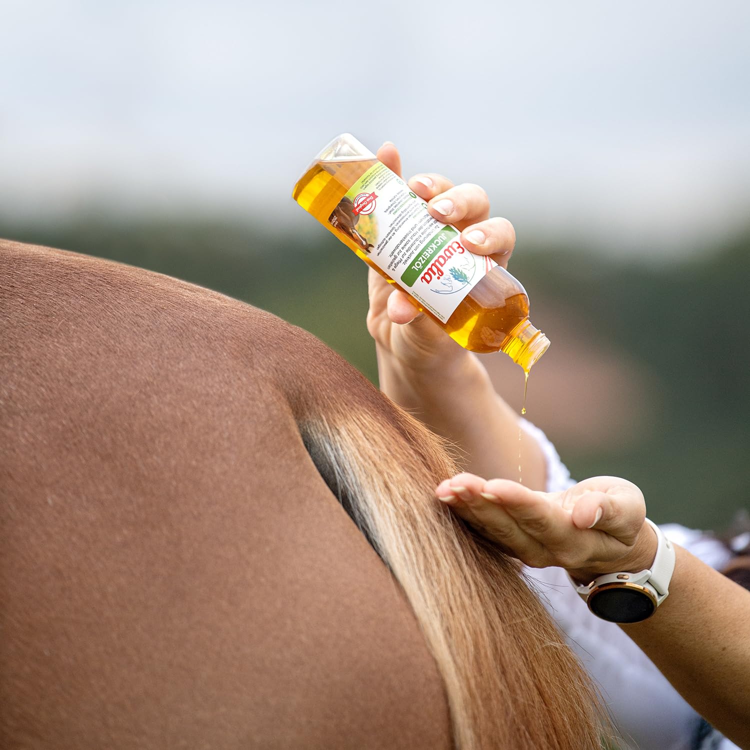 Ewalia NEU Juckreizöl für Pferde - Beruhigung und Regeneration für strapazierte Haut, mit Tierärzten entwickelt, 100% Natur pur, frei von Zusätzen, zertifizierte Inhaltsstoffe - 250ml