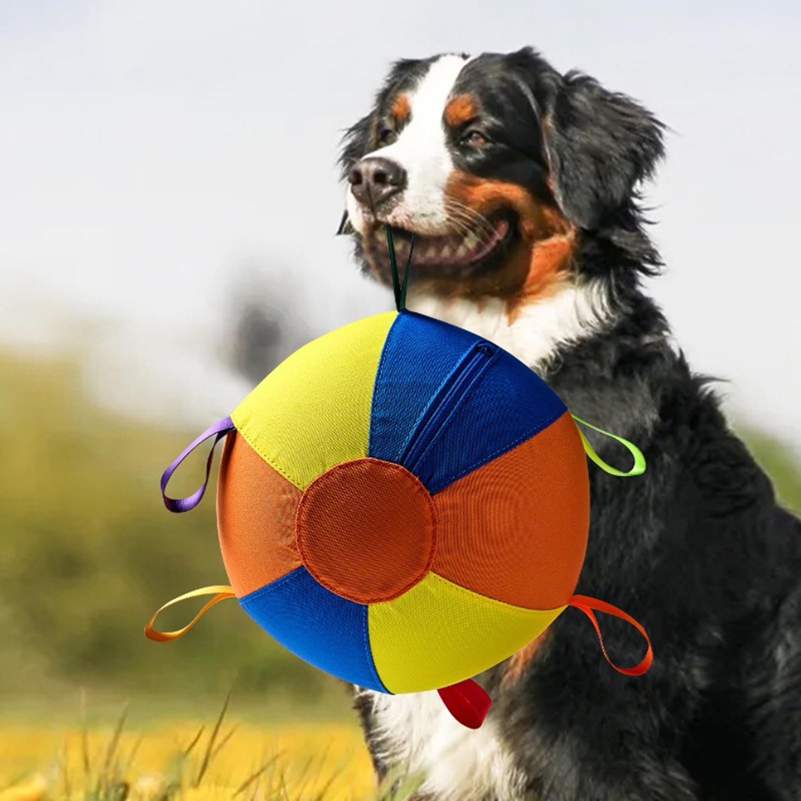 Pelota de pastoreo para perros, pelota calmante con asa de cubierta, pelota de entrenamiento inflable para razas grandes, perros pequeños y medianos, juego activo