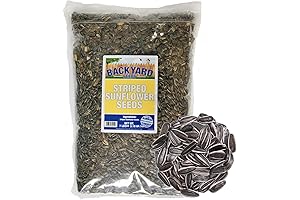 Striped Sunflower Seed: The Perfect Treat for Your Feathered Friends