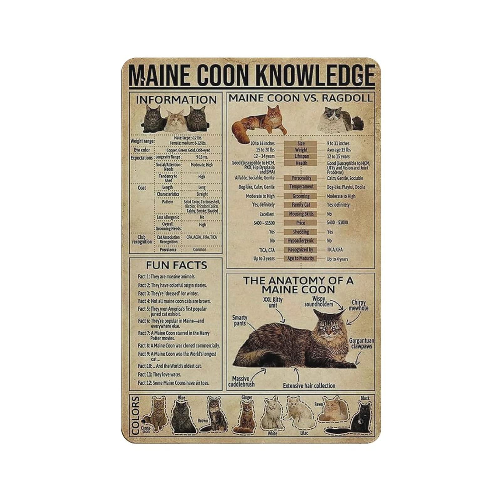 Metal Tin Sign Maine Coon Knowledge Vintage Tin Poster Metal Sign Wall Decoration Country Kitchen Home Garage Decor 12"x8"
