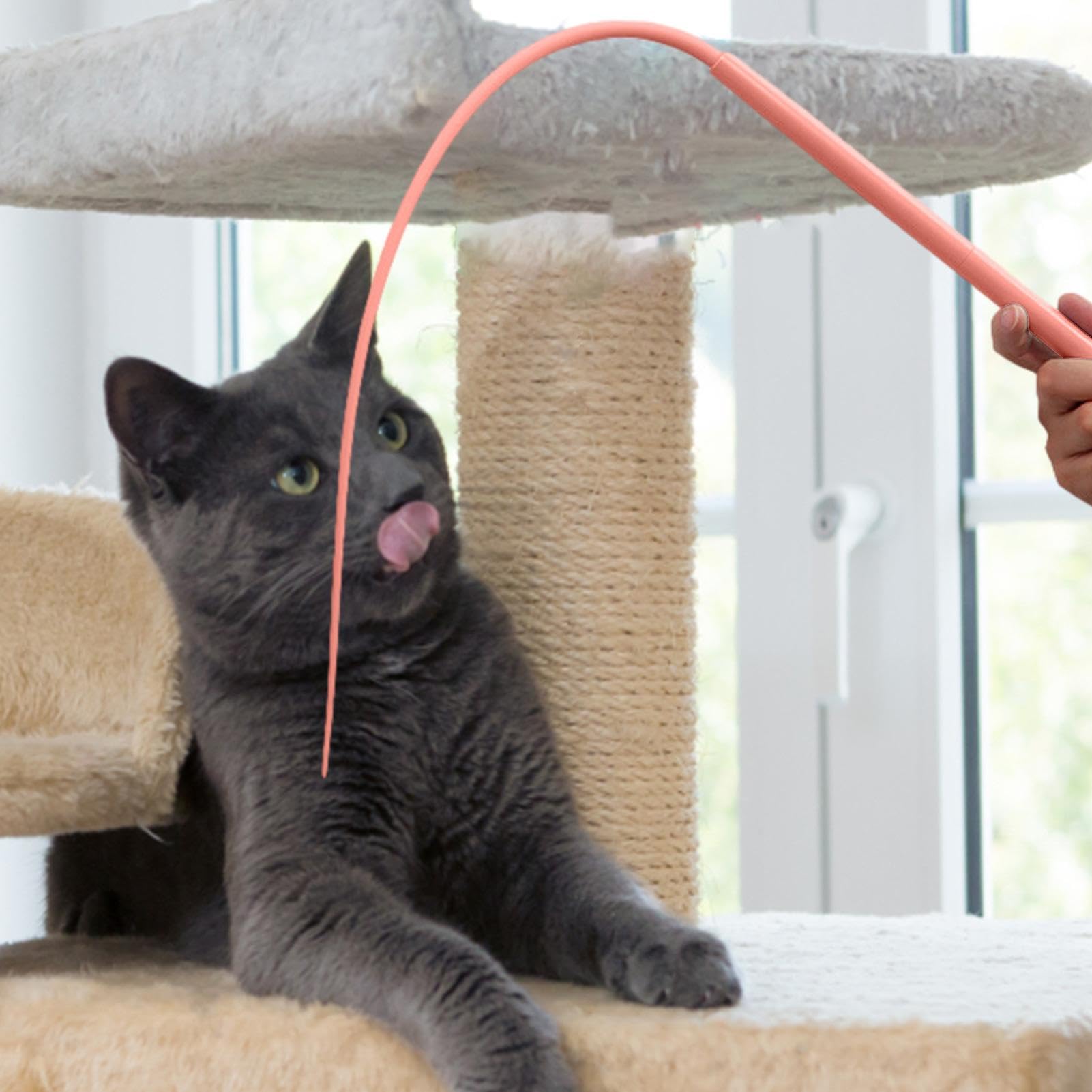 Katzenangel Mit Silikon-Mausschwanz – 77 Cm Lang, Interaktives Spielzeug Für Katzen