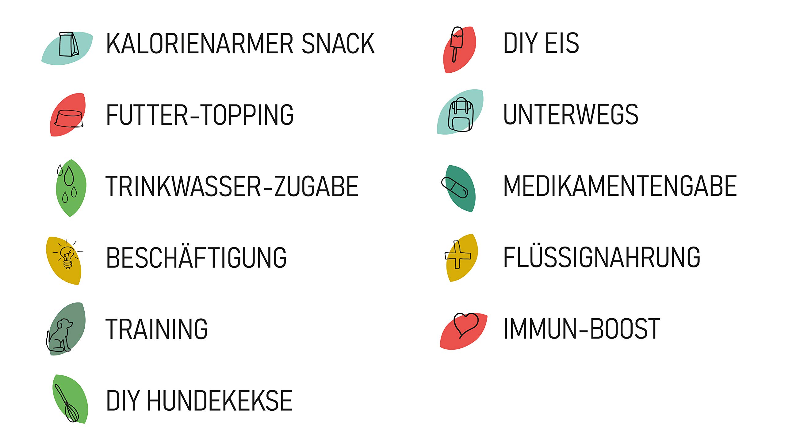 Hunde Smoothie SmoothieDog 12er Lamm - Flüssiges Hundeleckerli - Zucker- & glutenfrei - je 250ml