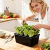 Hydroponics System for Indoor Use - 6-Hole Germination System - Bottomless Cultivation Box for Indoor and Outdoor Use Garden Greenhouse Farm Backyard Windowsill Balcony Office for Vegetables and