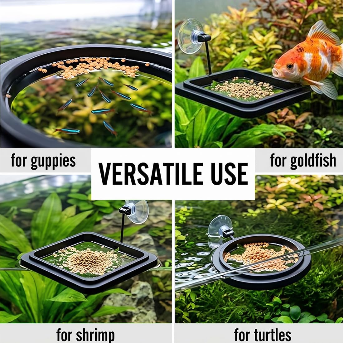 4 Pezzi Anelli di Mangime per Acquario, anello flottante tondo e quadrato per pesci, per betta, guppy e tartarughe, nero