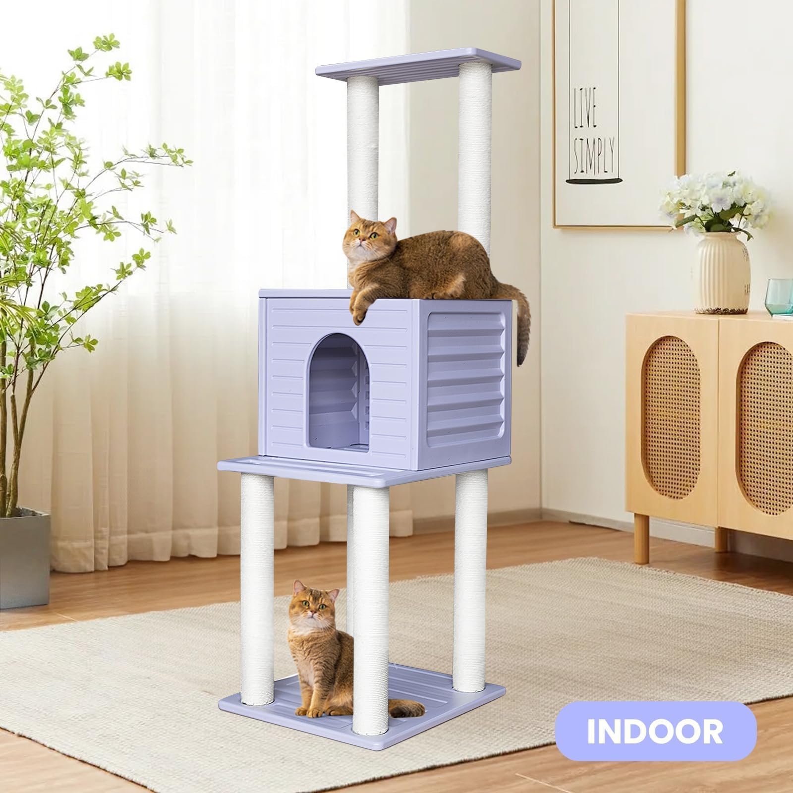 Amazon | MAOHEGOU 62インチ 屋内外キャットツリータワー キャット