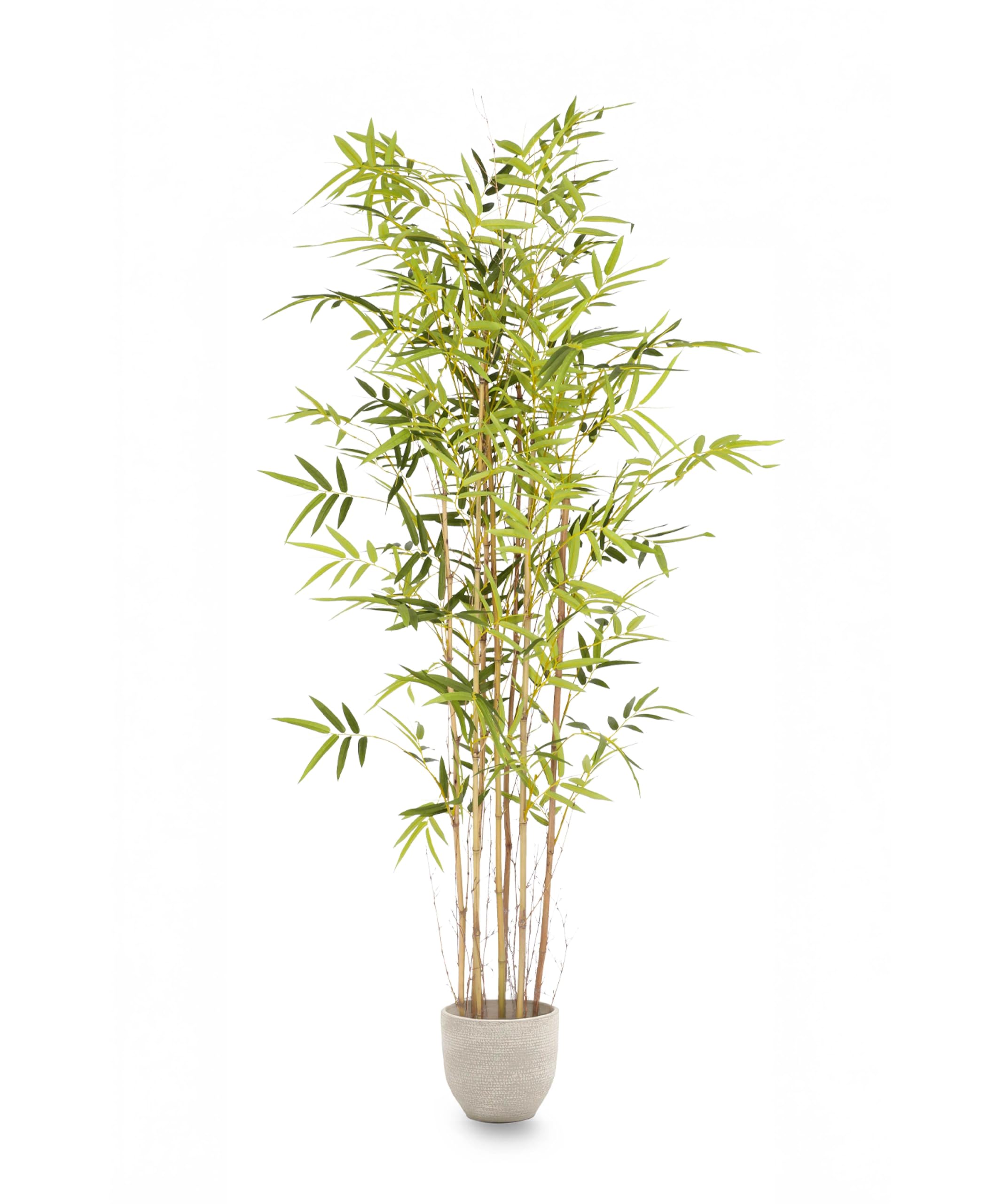 Maia Shop | Künstlicher Bambus Savage | Kunstpflanzen | Künstlicher Baum | Maße: 180 cm | Große künstliche Pflanze | Fake Plant | Deko | Deko Pflanzen |