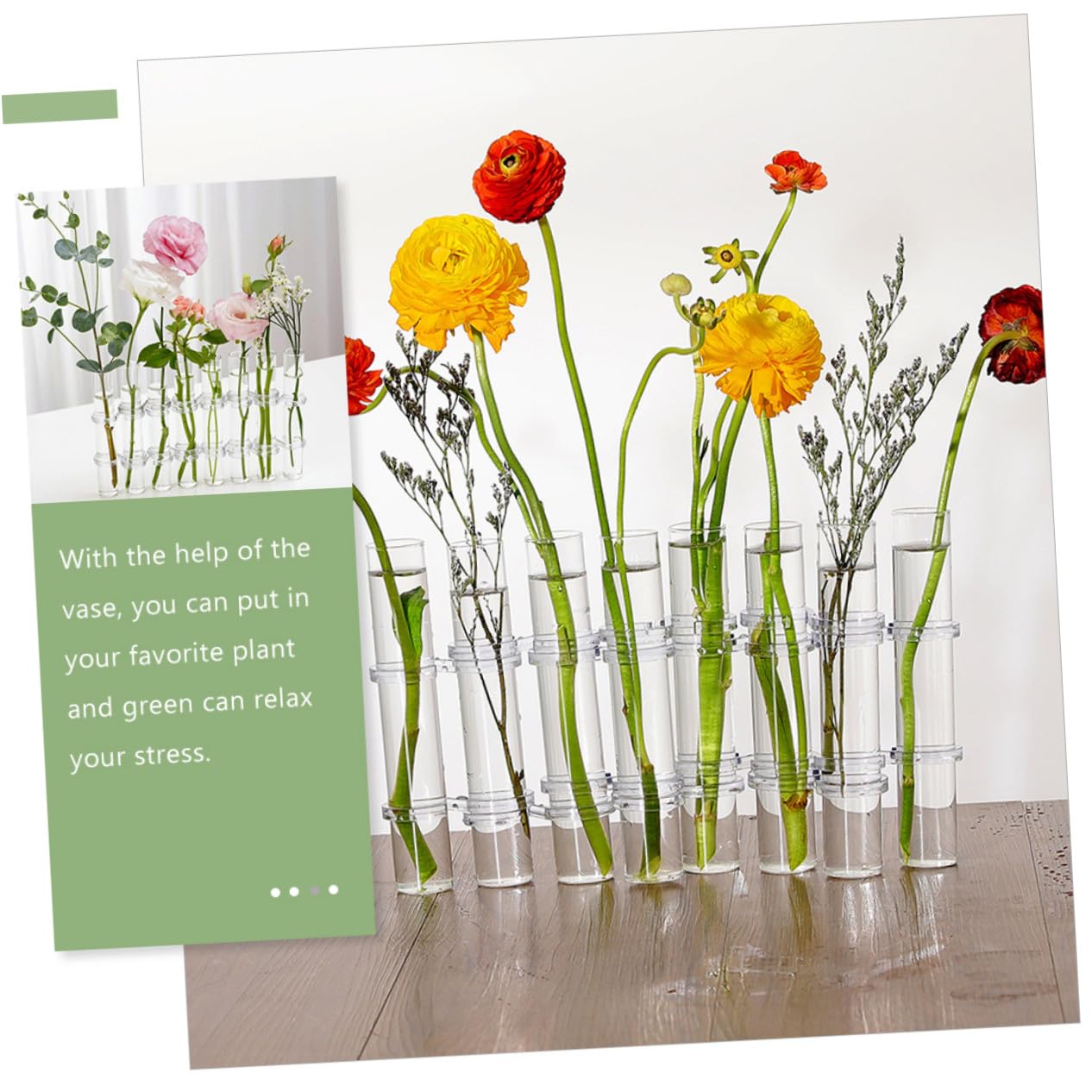 Homoyoyo Set de Vases Verre Transparent pour Hydroponie Test Tubes Propagation Large avec Brosse Pot à Plantes Intérieur pour Décoration Maison et Bureau