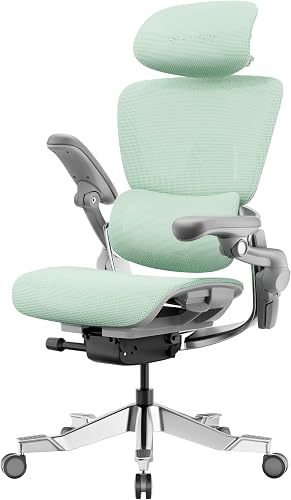 HINOMI H2 Pro Chaise de Bureau Ergonomique - Support Lomb…