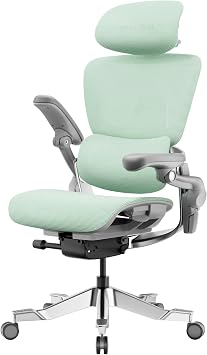 HINOMI H2 Pro Office Chair, Gaming Chair, Ergonomic Chair, Mesh, Telework, Fatigue-Resistant, 2-in-1 Forward Tilt, Dynamic Backrest, Highly Adaptive Lumbar Support, Full Range Armrest, 143  Reclining