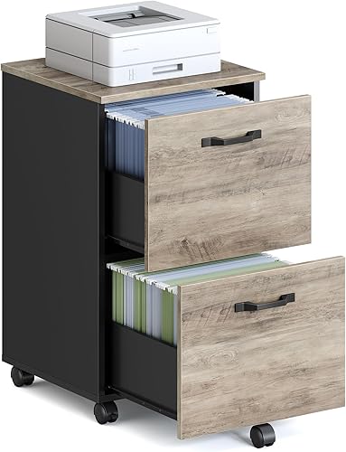 VASAGLE UOFC040B02 - Archivador de 2 cajones para oficina en casa, soporte moderno, rodante y pequeño para impresora, para archivos A4 y tamaño Gris