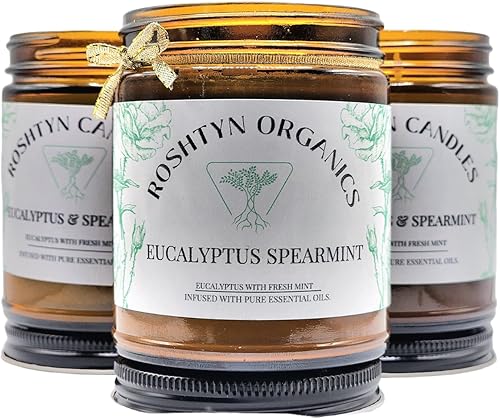 Eucalyptus Spearmint - Vela de soja de 9 onzas con aceites esenciales puros