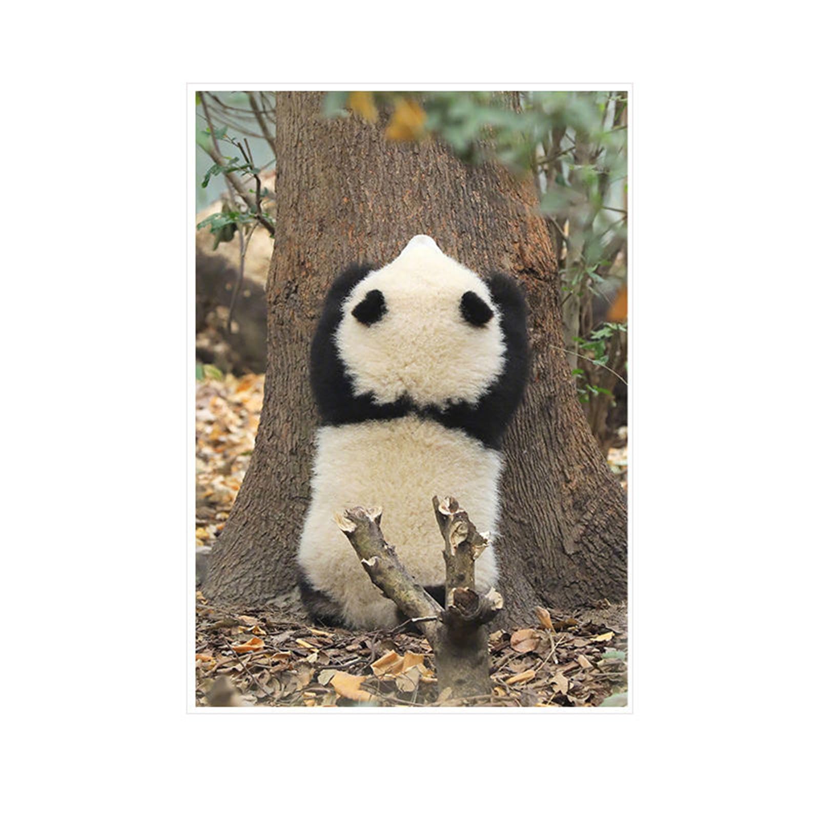 ポスト様 2014年&2015年 パンダ ポスト様 2014年&2015年 パンダ パンダ模様の郵便ポスト、動物園