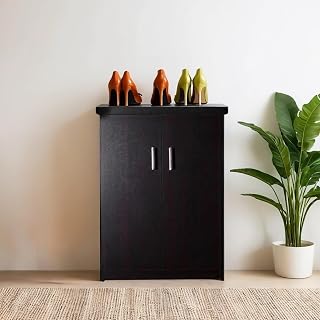 CASPIAN 2 Door Shoe Rack Cum Cabinet (Dark Brown) | Engineered Wood Pre Assembled Furniture | Storage Organizer for Indoo... Price In India