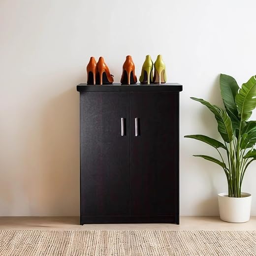 CASPIAN 2 Door Shoe Rack Cum Cabinet (Dark Brown) | Engineered Wood Pre Assembled Furniture | Storage Organizer for Indoo...