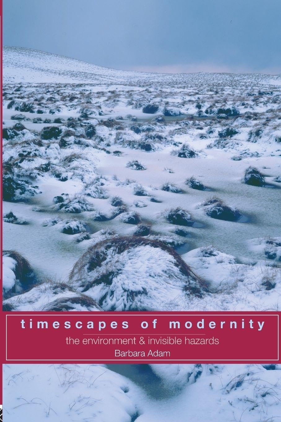 Timescapes of Modernity: The Environment and Invisible Hazards (Global Environmental Change)