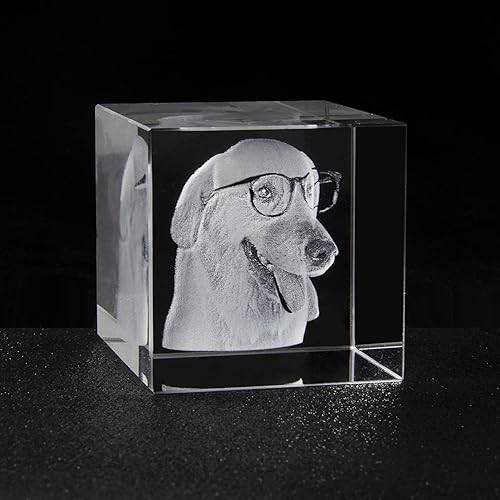 Miniatura 4 de Cubo de fotos de cristal 3D personalizado con luz, marco de fotos conmemorativo para mascotas, regalo de condolencias para mujeres y hombres