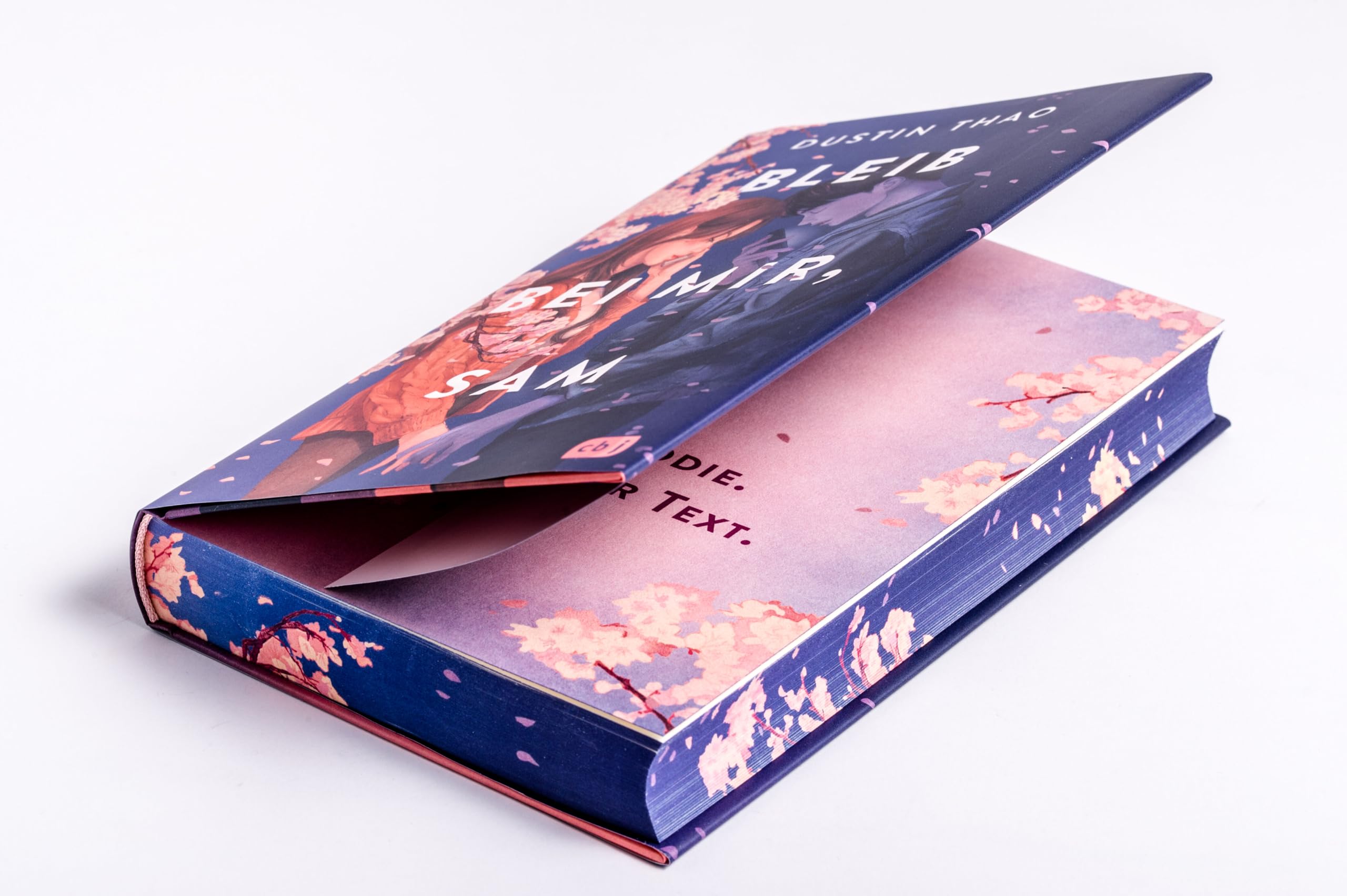 Bleib bei mir, Sam: Schmuckausgabe des hochemotionalen Weltbestsellers und TikTok-Sensationserfolgs über Liebe und Verlust. TikTok made me buy it