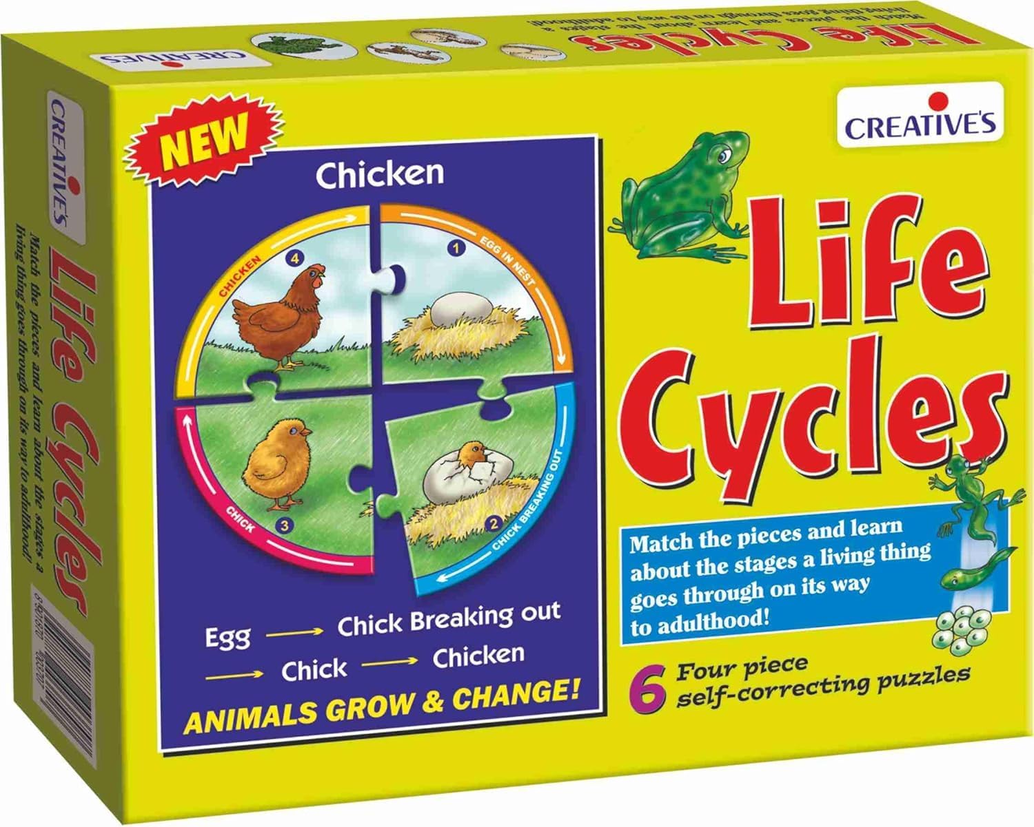 Creative's Life Cycles|0993| Learn about stage of living things goes through on its way to adulthood ! Suitable for 5 Yrs and up