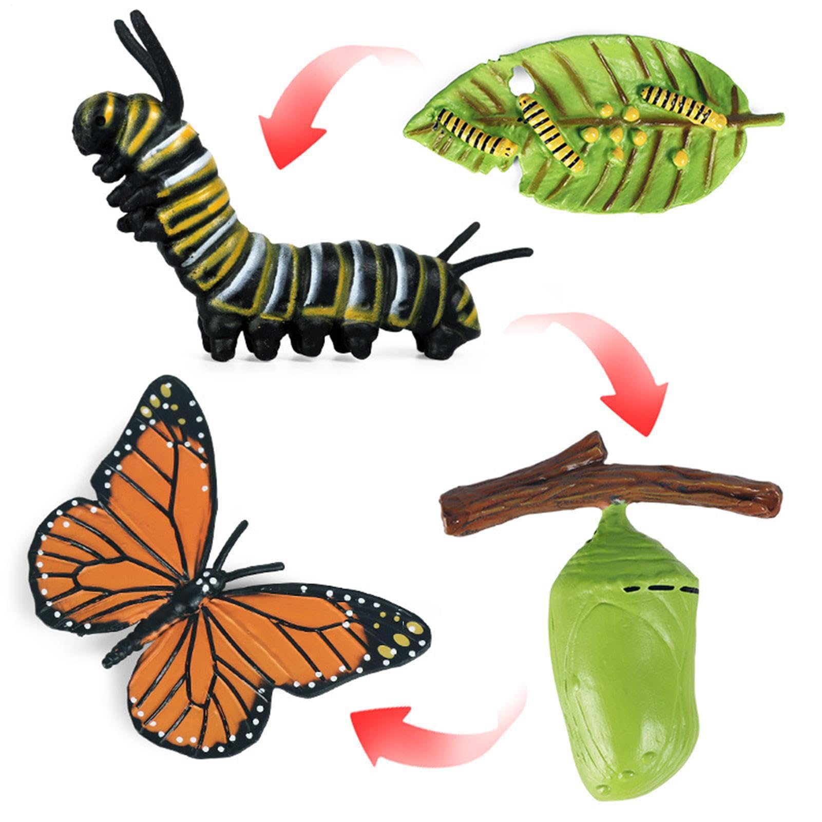 Insectss Life Cycle Figurines - Educational Biological Growth Stages, Realistic Hand-Painted Learning Models, Durable Odourlesss PP Plasticss Build, 4 to 5 Piece Development Sets - for Kids 3 Years — view 4