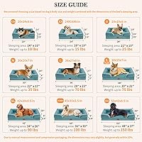 Vista 148 de Comfort Expression - Cama ortopédica para perros extragrandes, 53 x 42 pulgadas, cama impermeable y de apoyo de espuma con cojines removibles