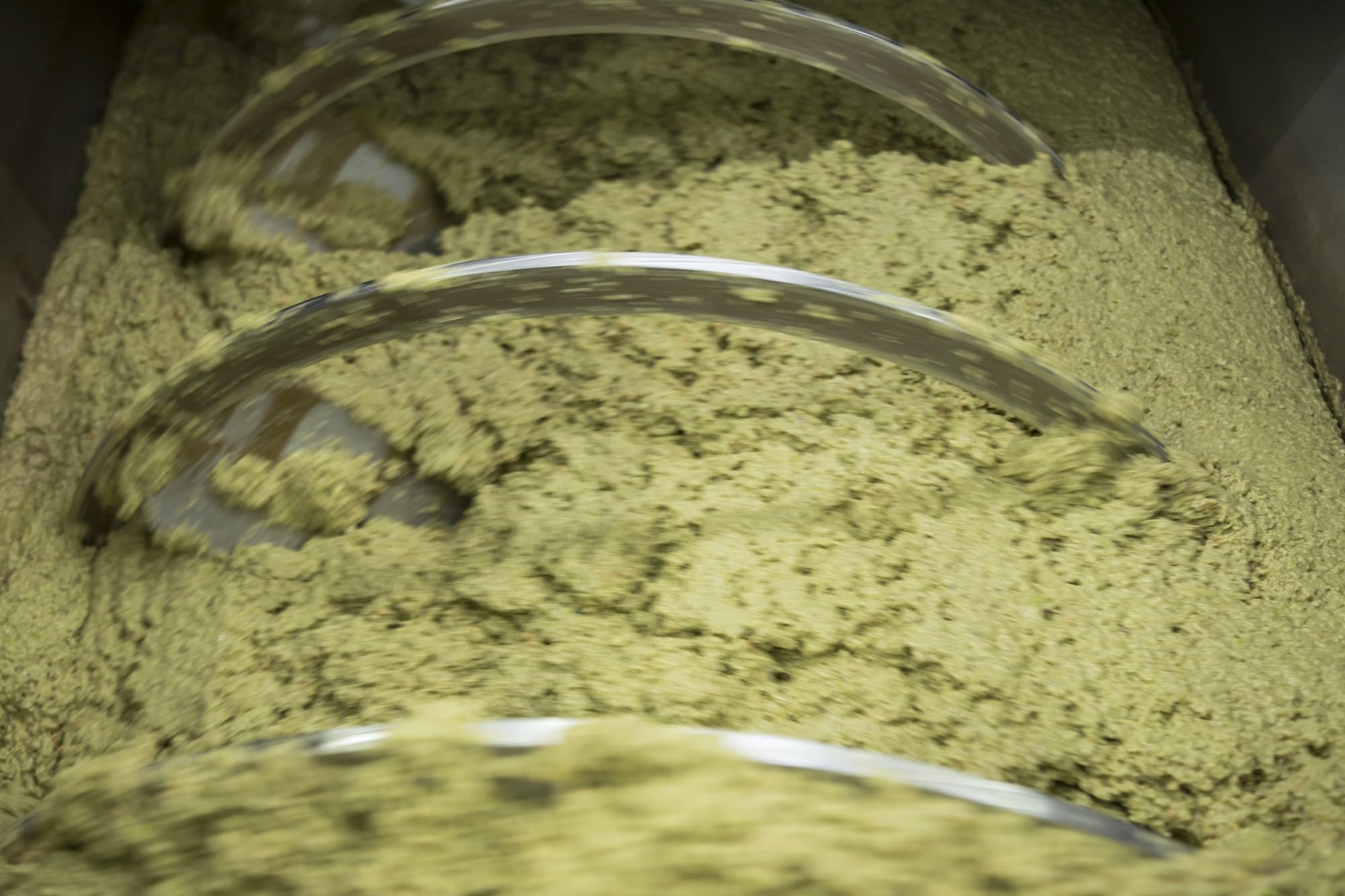 TERRA SURTI - Extra W Virgin Oliwa z Oliwek, 100% Włoska, Puszce 500 ml, Zbiór 2024/2025 (3)