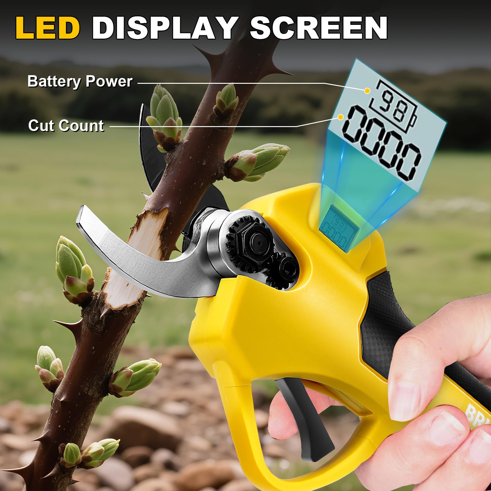 Panthem Cesoie telescopica a batteria 2 in 1, cesoie da giardino elettriche compatibili con Dewalt 18V 20V, portata massima fino a 4,1 m, apertura di taglio 43 mm, motore brushless (senza batteria e