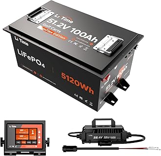 48V 100Ah Lithium Golf Cart Battery, LiFePO4 Battery with 18A Lithium Battery Charger & Real-time monitor, Built-in Smart 200A BMS, Max 10.24kW Power Output, Perfect for Golf Carts