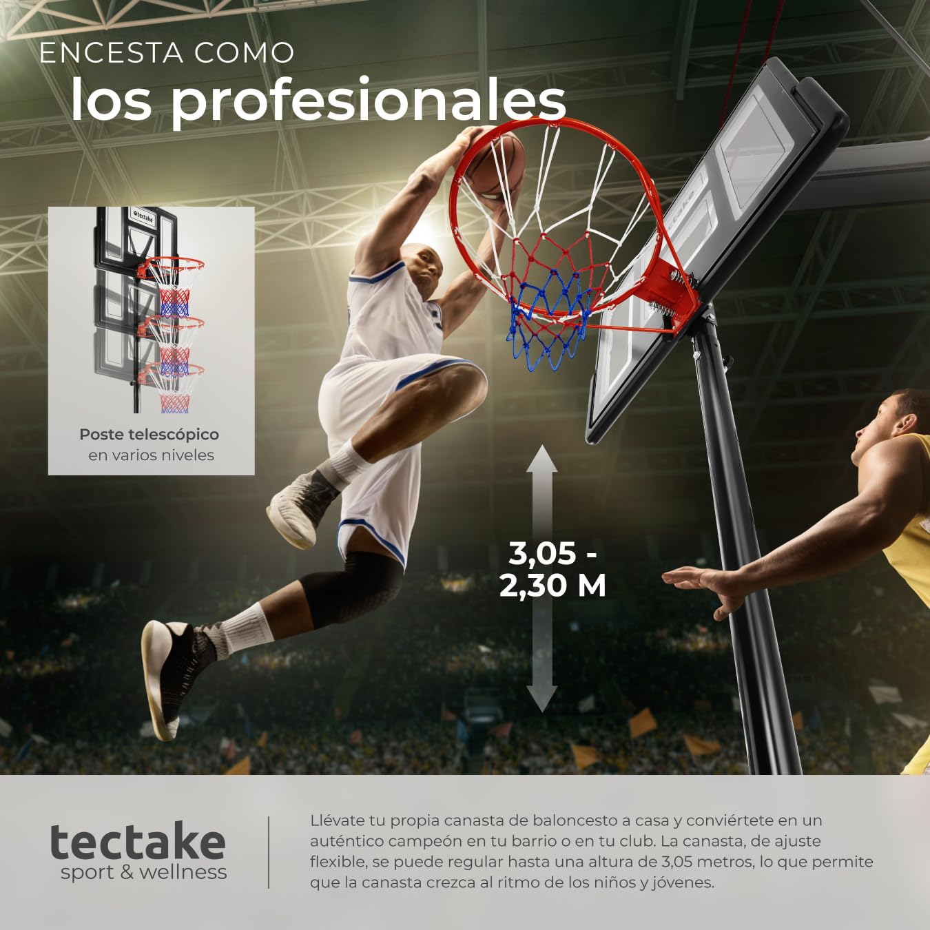 Tectake Canasta Baloncesto Infantil Base Rellenable Agua Arena Ruedas Juegos Exteriores